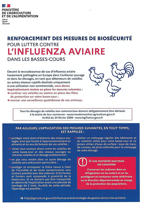 vignette_-_renforcement_influenza_aviaire_1.png